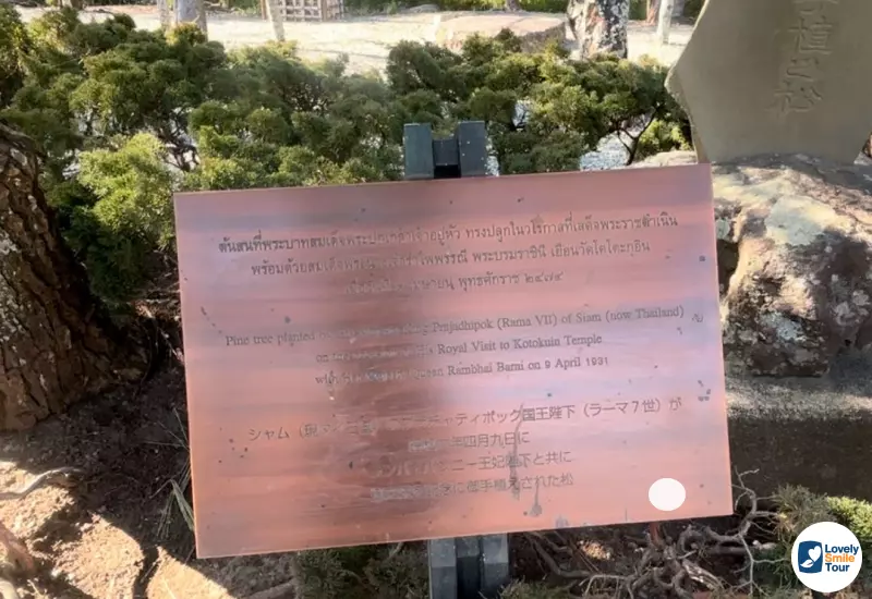 5 เหตุผลที่ต้องไปสักการะ พระใหญ่ไดบุตสึ จุดเช็คอินยอดฮิต 7 นักท่องเที่ยวสามารถเดินชมธรรมชาติภายในวัด