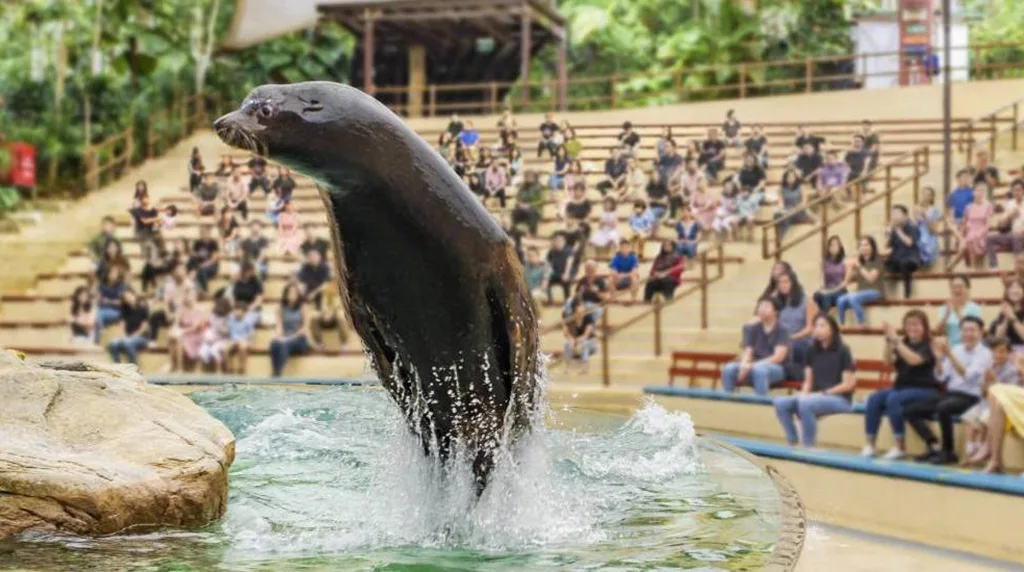 singapore zoo safari show