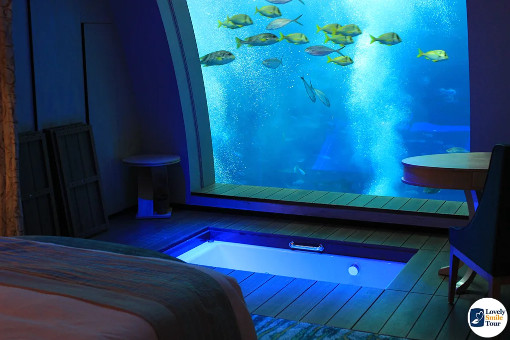 ห้อง Aquarium View