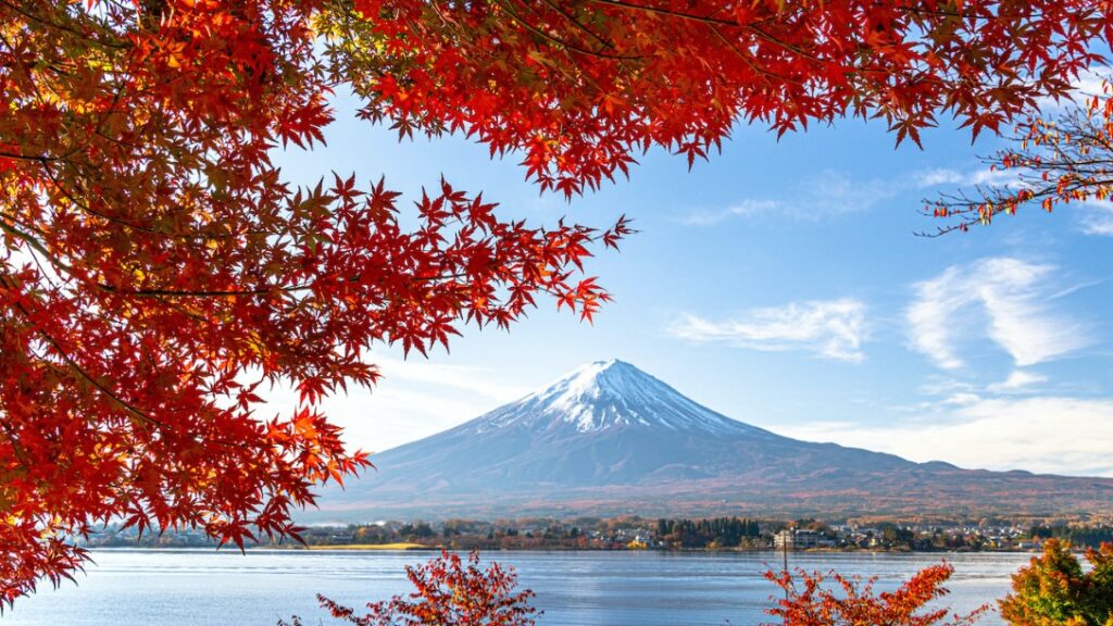 fuji autumn