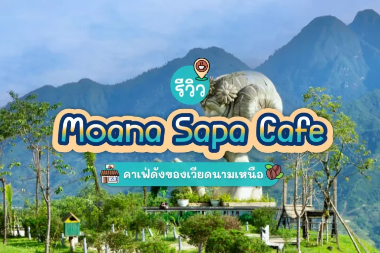 รีวิว Moana Sapa Cafe คาเฟ่ดังของเวียดนามเหนือ 10 moana cafe cover