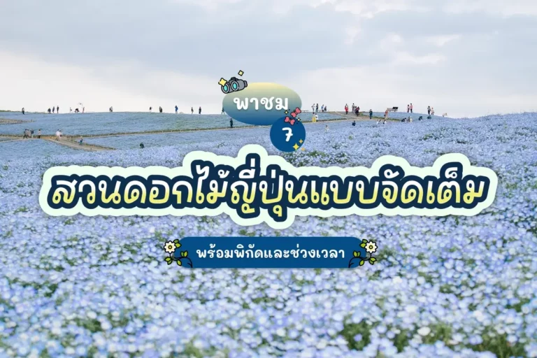 พาชม 7 สวนดอกไม้ญี่ปุ่นแบบจัดเต็ม พร้อมพิกัดและช่วงเวลา 10 7 flower gardens in japan