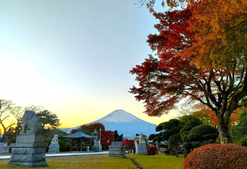 รีวิว ชมวิวฟูจิจากสวนสันติภาพเฮวะ Fuji Heiwa Park 8 Fuji Heiwa 01