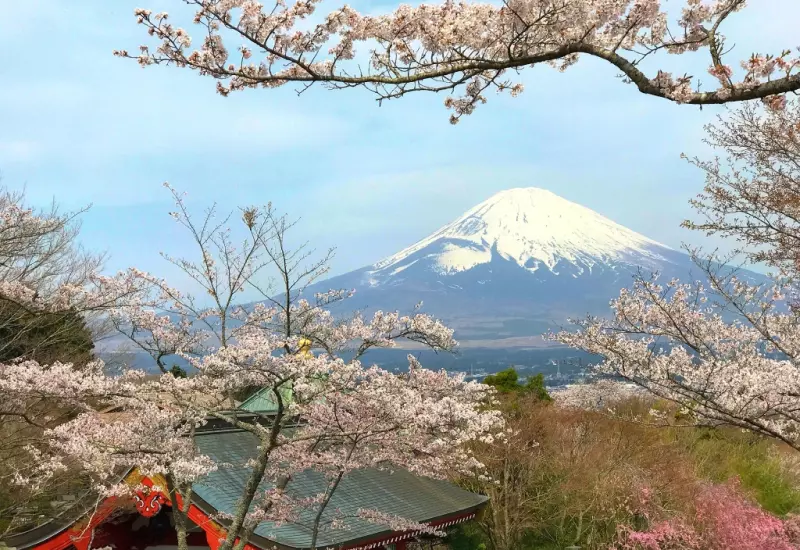 รีวิว ชมวิวฟูจิจากสวนสันติภาพเฮวะ Fuji Heiwa Park 4 Fuji Heiwa 03