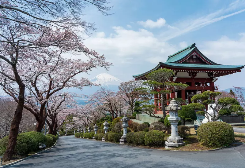 รีวิว ชมวิวฟูจิจากสวนสันติภาพเฮวะ Fuji Heiwa Park 5 Fuji Heiwa 04