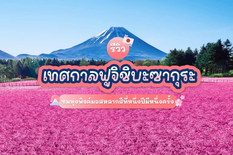รีวิว Fuji Shibazakura Festival ชมทุ่งพิงค์มอสหลากสีที่หนึ่งปีมีหนึ่งครั้ง 2025 11 Fuji Shibazakura Festival