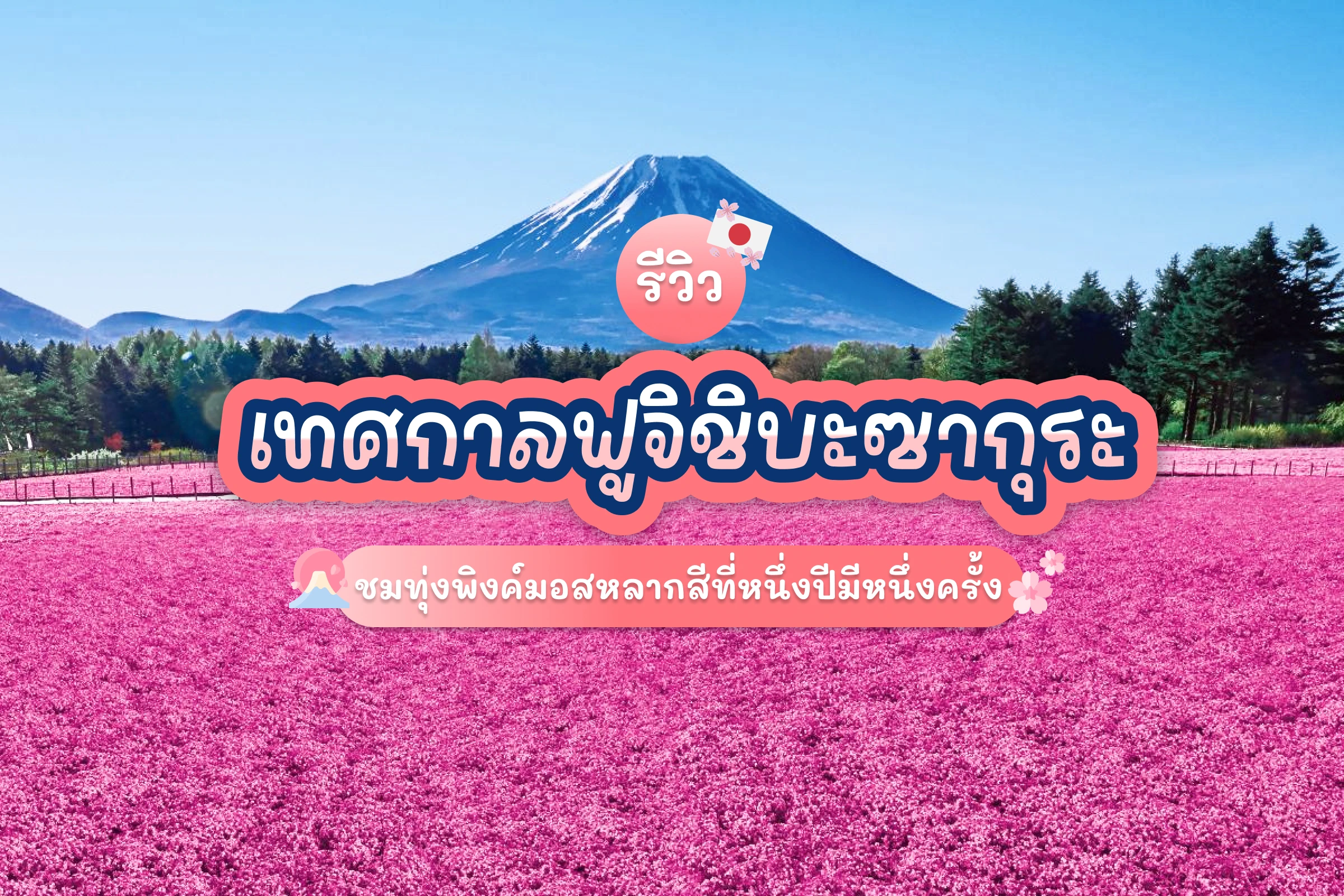 Fuji Shibazakura Festival