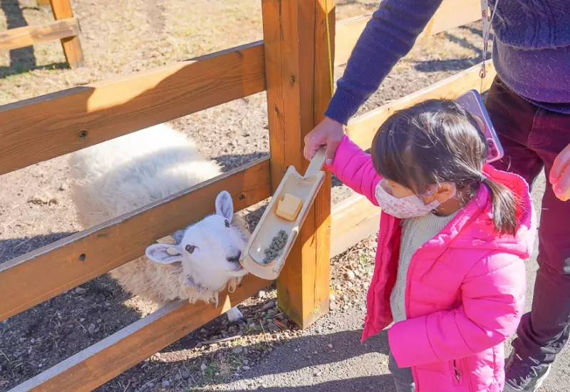 รีวิว Makaino Farm ชมวิวฟูจิซังแบบพาโนราม่า 3 Makaino 07