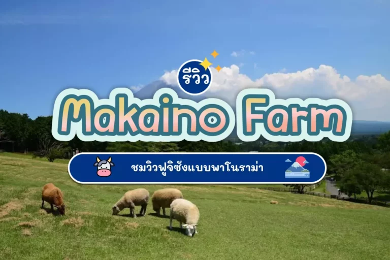 รีวิว Makaino Farm ชมวิวฟูจิซังแบบพาโนราม่า 5 Makaino cover