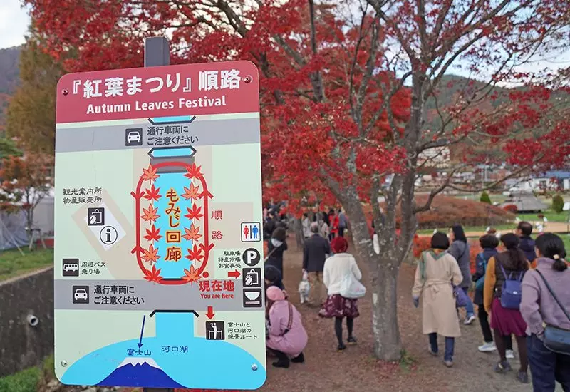 รีวิว ชมใบไม้เปลี่ยนสี อุโมงค์ใบเมเปิ้ล Momiji Corridor 5 Momiji Corridor 04