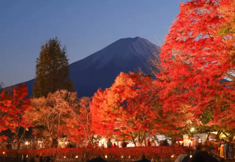รีวิว ชมใบไม้เปลี่ยนสี อุโมงค์ใบเมเปิ้ล Momiji Corridor 7 Momiji Corridor 06