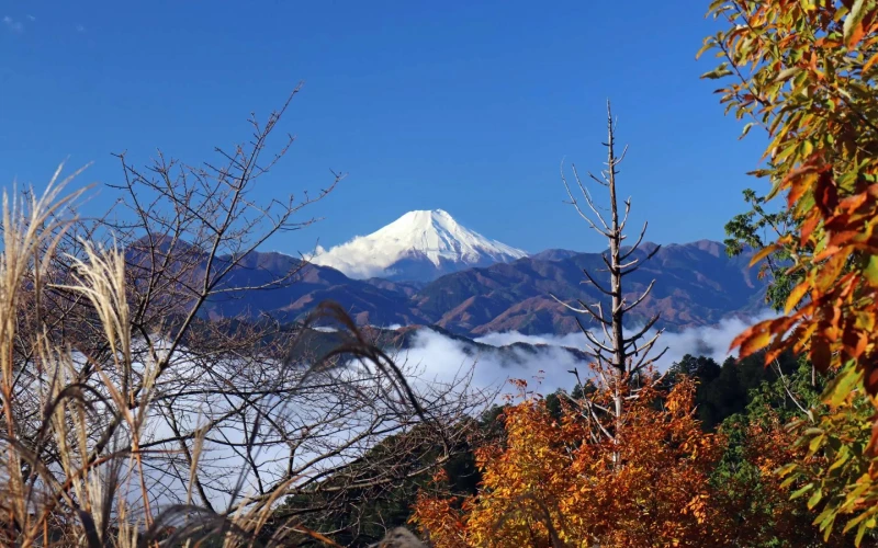 รีวิวชมใบไม้เปลี่ยนสี ภูเขาทาคาโอะ Mt.Takao 3 รีวิวชมใบไม้เปลี่ยนสี ภูเขาทาคาโอะ Mt.Takao