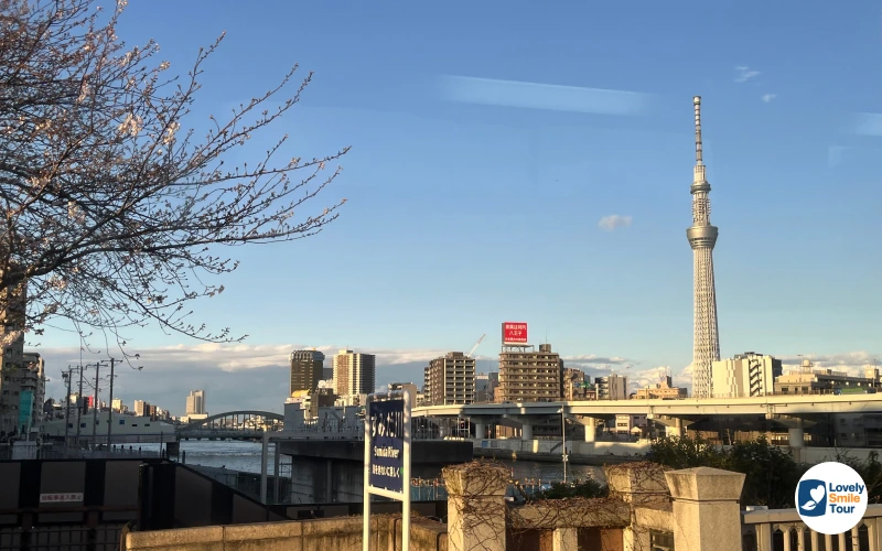 รีวิวทัวร์โตเกียว อิบารากิ ฟูจิ ซากุระ 5 วัน 3 คืน 14 Tokyo Sky Tree