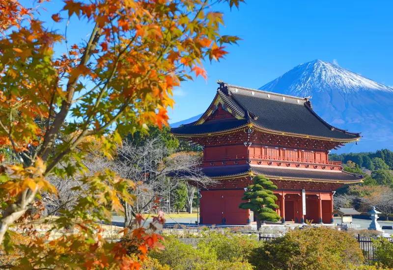 รีวิว วัดไทเซคิจิ Taisekiji Temple 2025 11 autumn