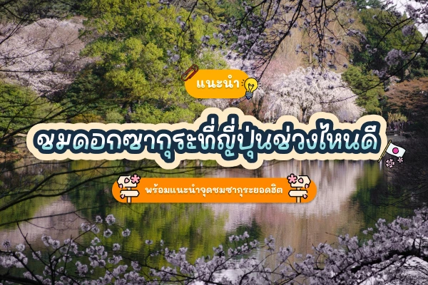 แนะนำชมดอกซากุระที่ญี่ปุ่นช่วงไหนดี 16 cover3