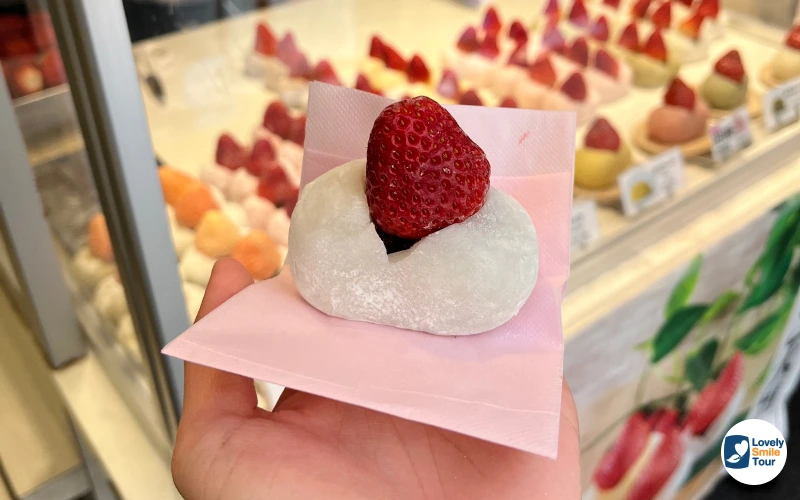 รีวิวทัวร์โตเกียว อิบารากิ ฟูจิ ซากุระ 5 วัน 3 คืน 19 daifuku