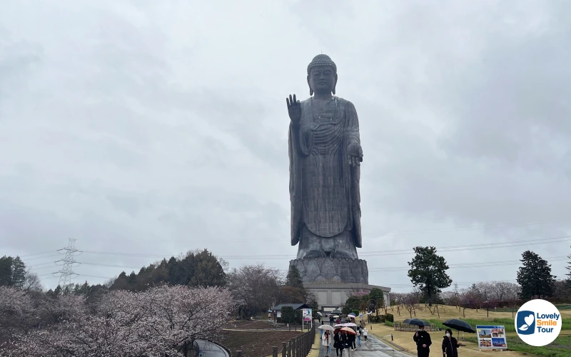 พาไหว้พระใหญ่อุชิคุ ไดบุทสึ แห่งเมืองอิบารากิ ปี 2025 2 พระใหญ่อุชิคุ ไดบุทสึ
