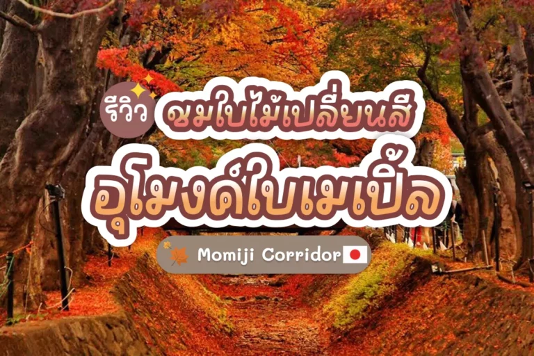 รีวิว ชมใบไม้เปลี่ยนสี อุโมงค์ใบเมเปิ้ล Momiji Corridor 4 momiji cover 01