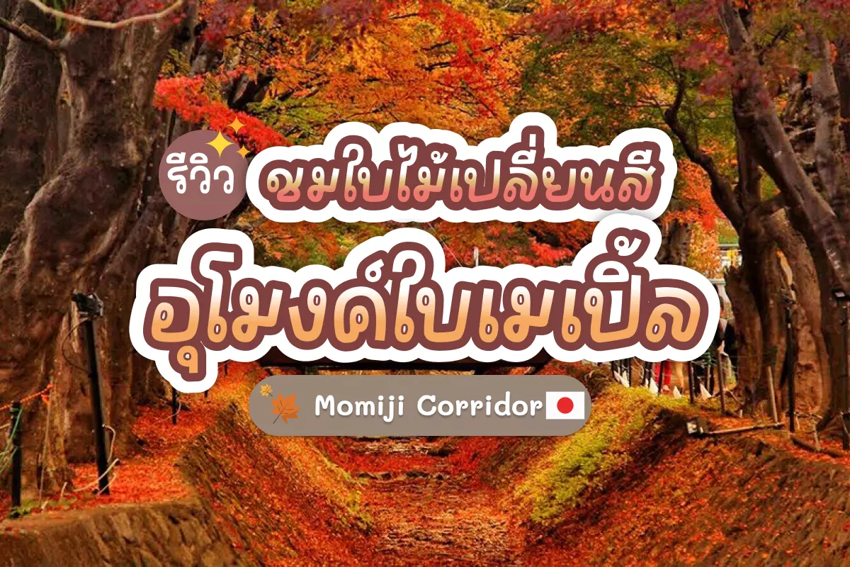 momiji cover 01