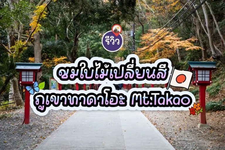 รีวิวชมใบไม้เปลี่ยนสี ภูเขาทาคาโอะ Mt.Takao 2 mt takao review