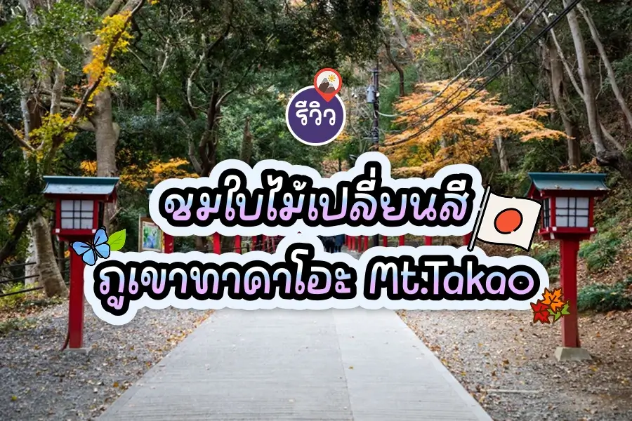 mt takao review