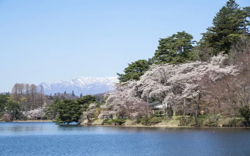 รีวิว สวนนันโกะ สวนสาธารณะเก่าแก่แห่งแรกของญี่ปุ่น จังหวัดฟุกุชิมะ 2025 3 nanko park01 1
