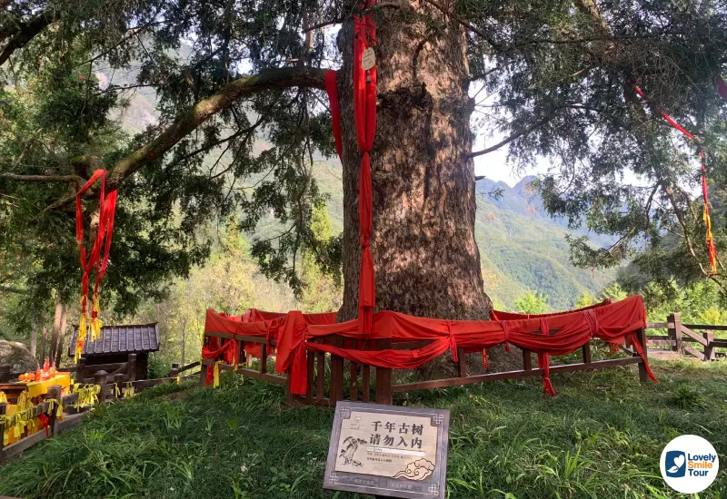 รีวิว ทัวร์อู่ฮั่น 5 วัน 4 คืน ประเทศจีน 51 Shennong Altar