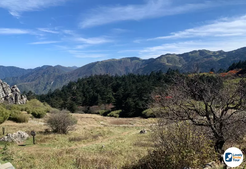รีวิว ทัวร์อู่ฮั่น 5 วัน 4 คืน ประเทศจีน 42 Shennongjia National Park