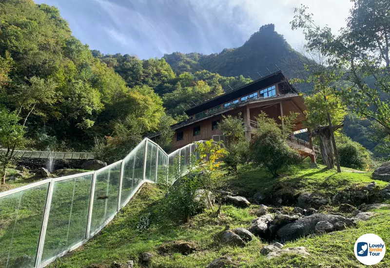 รีวิว ทัวร์อู่ฮั่น 5 วัน 4 คืน ประเทศจีน 46 Shennongjia Giant Panda House
