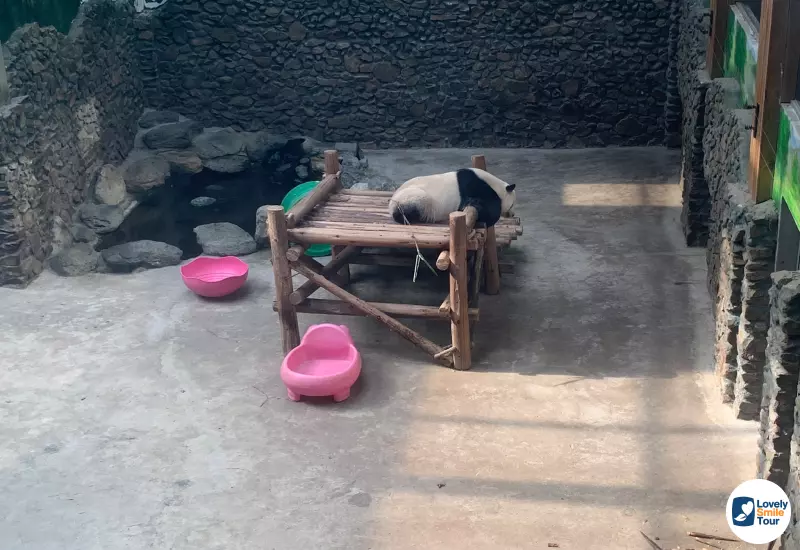 รีวิว ทัวร์อู่ฮั่น 5 วัน 4 คืน ประเทศจีน 47 Shennongjia Giant Panda House