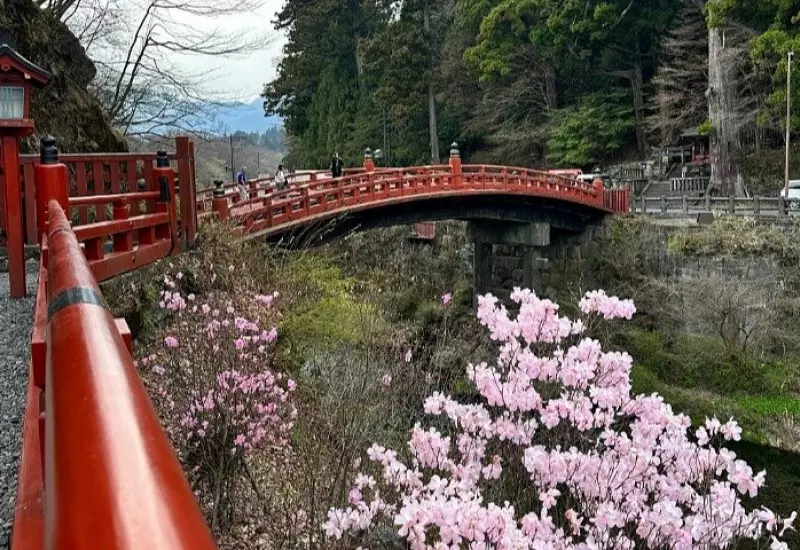 รีวิว สะพานชินเคียว เมืองนิกโก้ 5 shinkyo bridge in spring