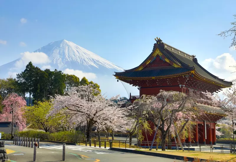รีวิว วัดไทเซคิจิ Taisekiji Temple 2025 10 spring