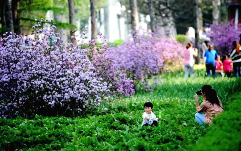 สวนพฤกษศาสตร์ป่าไม้เหยียนเจียฮาร์บิน