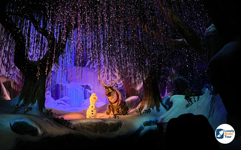 โซน Frozen