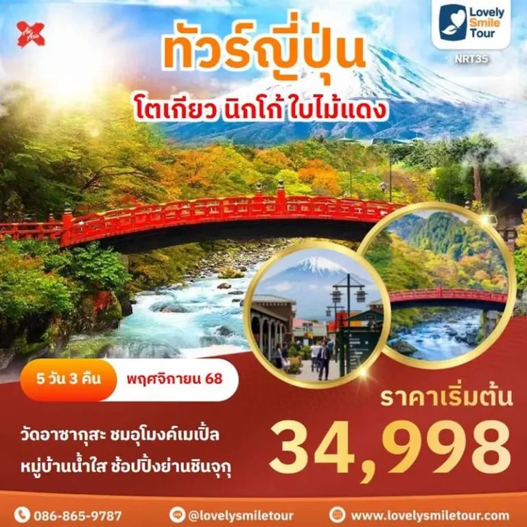 ทัวร์ญี่ปุ่น - โตเกียว นิกโก้ ใบไม้แดง 1 NRT35 1