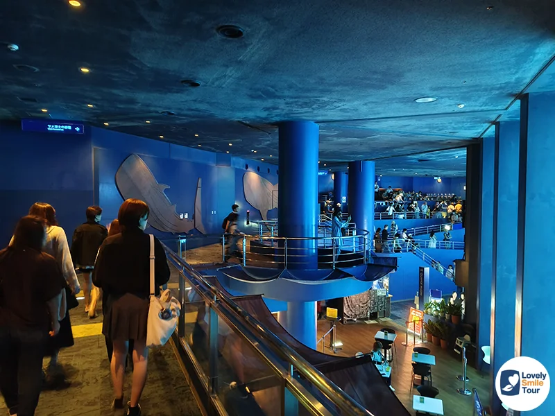 รีวิว Okinawa Churaumi Aquarium พิพิธภัณฑ์สัตว์น้ำโอกินาว่า อัปเดตล่าสุด 12 ทางเข้าโซนแทงค์น้ำคุโรชิโอะ