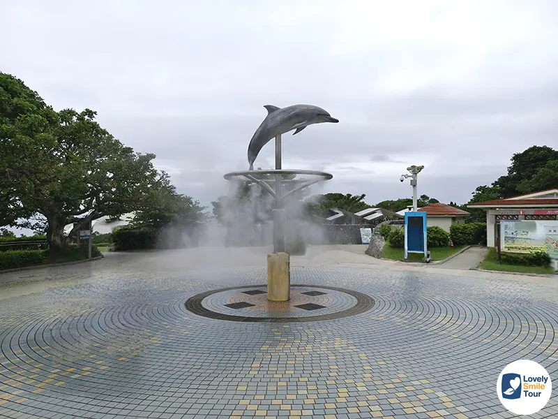 รีวิว Okinawa Churaumi Aquarium พิพิธภัณฑ์สัตว์น้ำโอกินาว่า อัปเดตล่าสุด 2 ocean expo park okinawa churaumi aquarium