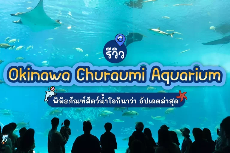 รีวิว Okinawa Churaumi Aquarium พิพิธภัณฑ์สัตว์น้ำโอกินาว่า อัปเดตล่าสุด 2 okinawa churaumi aquarium cover