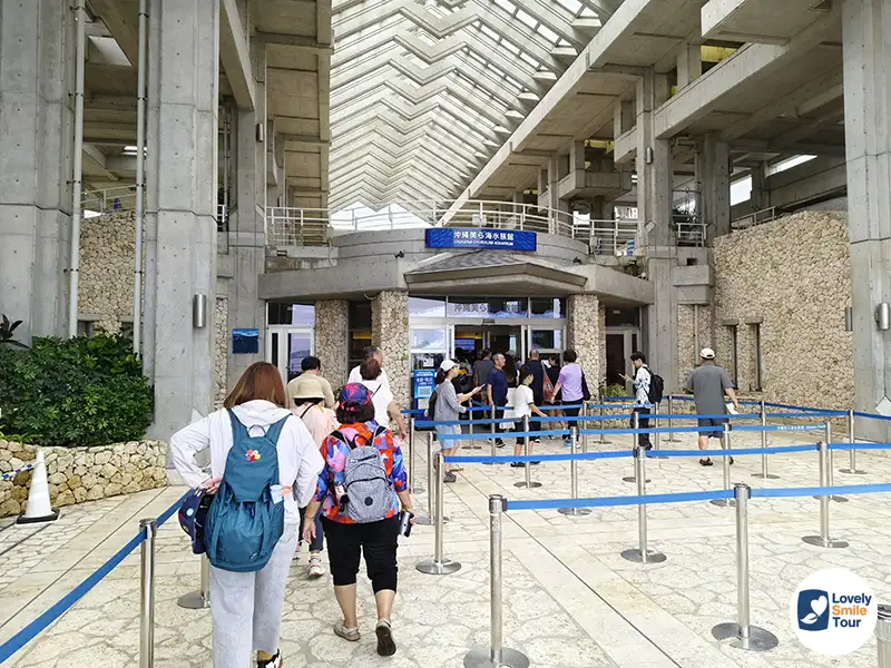 รีวิว Okinawa Churaumi Aquarium พิพิธภัณฑ์สัตว์น้ำโอกินาว่า อัปเดตล่าสุด 4 บริเวณที่ขายบัตร