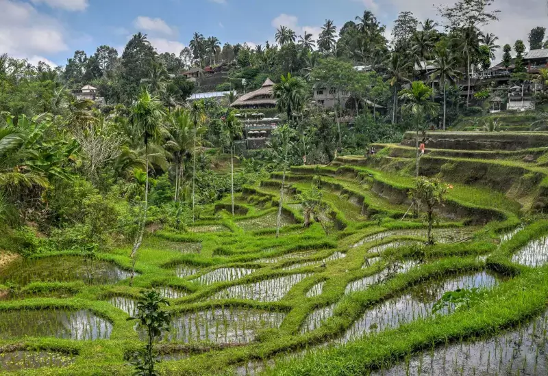 Tegalalang