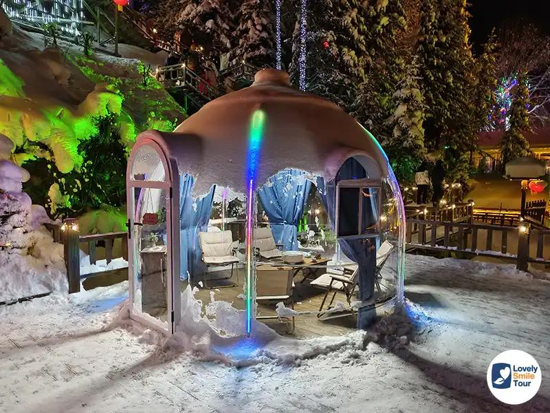 รีวิวเที่ยว หมู่บ้านหิมะฮาร์บิน China Snow Town พร้อมวิธีเตรียมตัว 16 เดินชมบ้านหิมะจำลอง