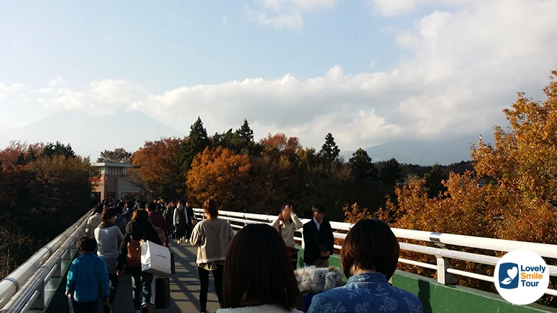รีวิว Gotemba Premium Outlets โกเท็มบะ พรีเมี่ยม เอาท์เล็ท แหล่งช้อปปิ้งญี่ปุ่นใกล้ฟูจิ 5 ได้เห็นวิวใบไม้เปลี่ยนสีที่ Gotemba Premium Outlets