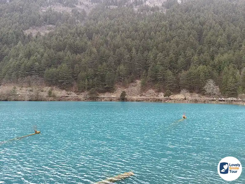 รีวิว จิ่วจ้ายโกว Jiuzhaigou ที่เที่ยวมรดกโลกที่ต้องไปสักครั้ง 8 ทัวร์จีนพาเที่ยวทะเลสาบแรด จิ่วจ้ายโกว