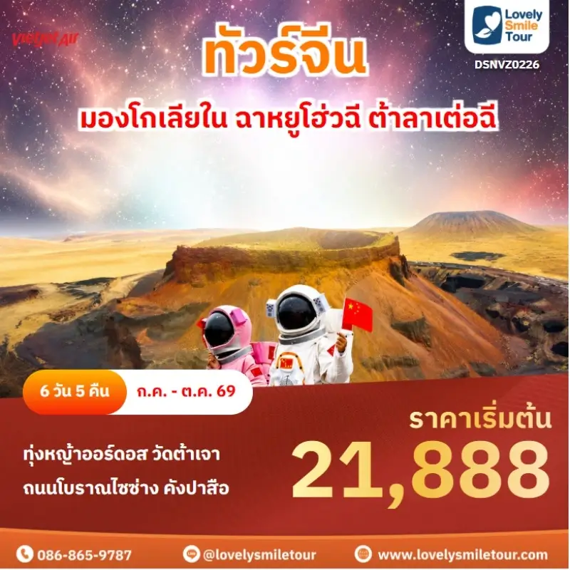 DSNVZ0226