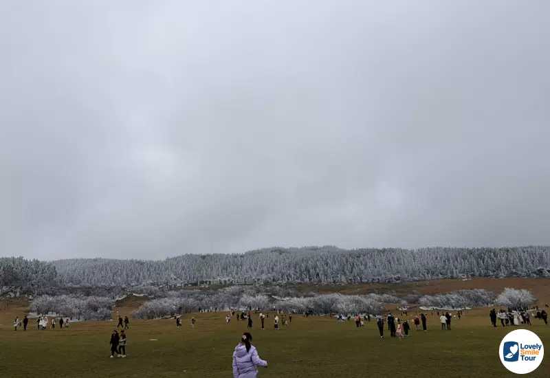 รีวิวทัวร์ฉงชิ่ง อู่หลง ฝูหลิง ต้าจู๋ 6 วัน 4 คืน 12 สนามหญ้าลานกว้างของอุทยานเขานางฟ้า