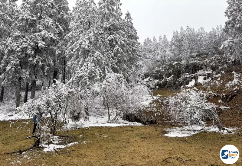 รีวิวทัวร์ฉงชิ่ง อู่หลง ฝูหลิง ต้าจู๋ 6 วัน 4 คืน 17 วิวข้างทาง