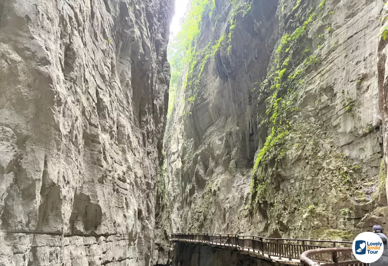 รีวิวทัวร์ฉงชิ่ง อู่หลง ฝูหลิง ต้าจู๋ 6 วัน 4 คืน 60 หุบเขารอยแยก สูงมาก