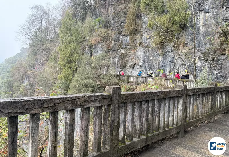 รีวิวทัวร์ฉงชิ่ง อู่หลง ฝูหลิง ต้าจู๋ 6 วัน 4 คืน 22 ทางเดินเลียบเขา