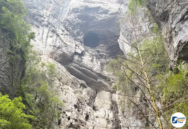 รีวิวทัวร์ฉงชิ่ง อู่หลง ฝูหลิง ต้าจู๋ 6 วัน 4 คืน 33 หน้าผามีลักษณะคล้ายคิงคอง