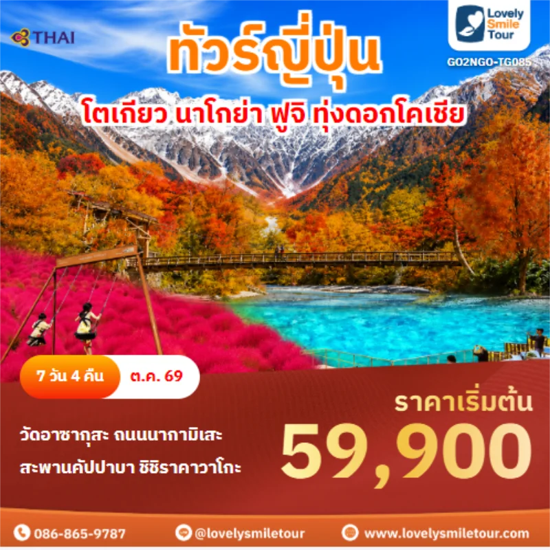รหัสทัวร์ GO2NGO-TG085 ทัวร์ญี่ปุ่น โตเกียว นาโกย่า ฟูจิ ทุ่งดอกโคเชีย